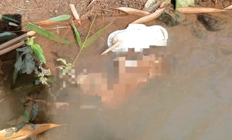 Warga Temukan Bayi di Sungai Gemiring Lor Jepara Warga Temukan Bayi di Sungai Gemiring Lor Jepara