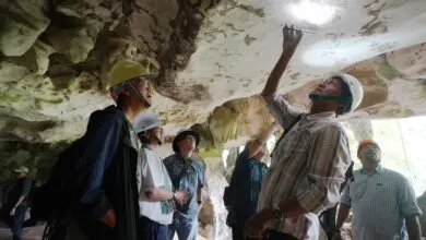 Semen Indonesia Lakukan Konservasi Warisan Arkeologi di Bulu Sipong IV Pangkep