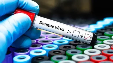 Hampir Setahun, Dinkes Jepara Catat Ratusan Kasus DBD