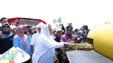 Inovasi Lahan Salim Diharapkan Mampu Lawan Rob