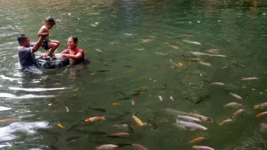 FOTO: Tradisi Padusan di Umbul Senjoyo
