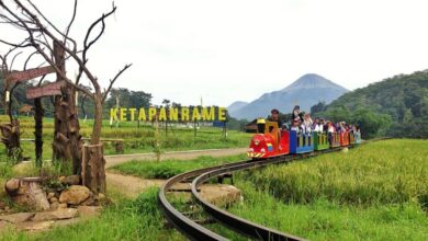 BRI Kembali Gelar Desa BRILian 2025, Wujud Nyata Dukung Asta Cita dalam Membangun dan Memberdayakan Desa