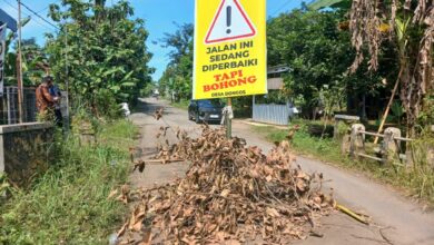 Viral Warga Protes Jalan Rusak