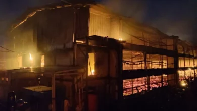 Kandang Ayam di Sumberlawang Sragen Terbakar, 22 Ribu Ekor Terpanggang