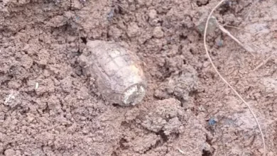 Pengungsi Erupsi Gunung Lewotobi Temukan Granat Aktif dan Amunisi